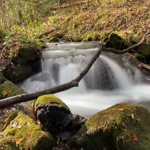 Meet your Posher, Josh